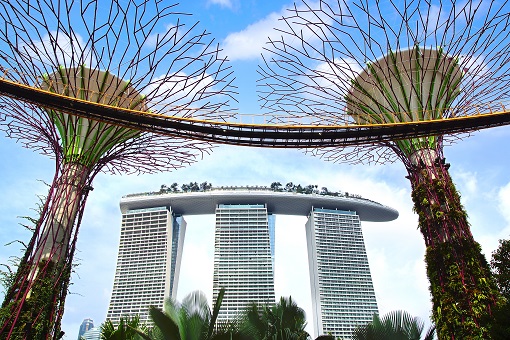 Singapore - Tp. Hồ Chí Minh